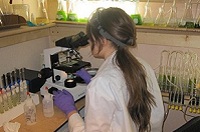Sara Volz works in her lab