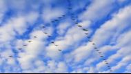 Migrating Mission Critical Systems to Intel® Architecture 