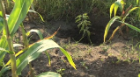 Supporting  Flood Rehabilitation in Bagalkot, India