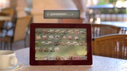 carousal image thumbnail