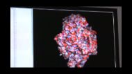 High-performance Computing for New Medical Therapies