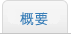 概要