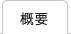 概要