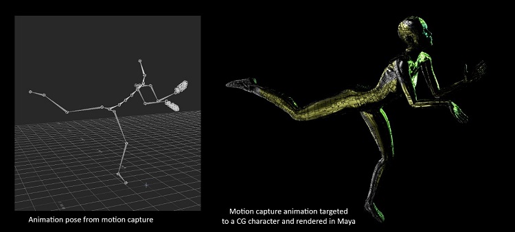 sample of a motion capture animation pase