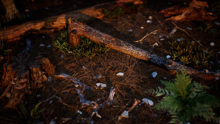 photogrammetry sample of forest floor with fallen tree and pine needles
