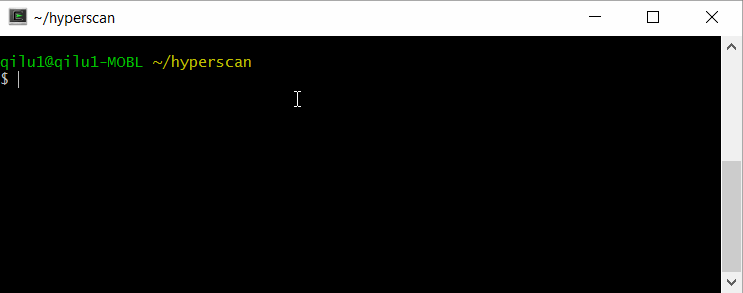 Animated command prompt window