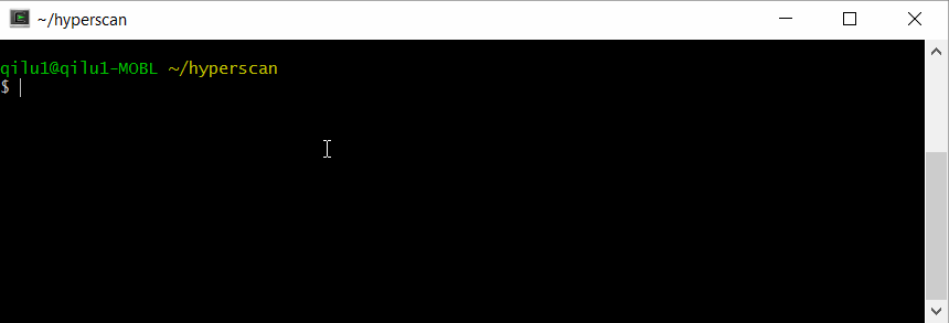 Command prompt window with command