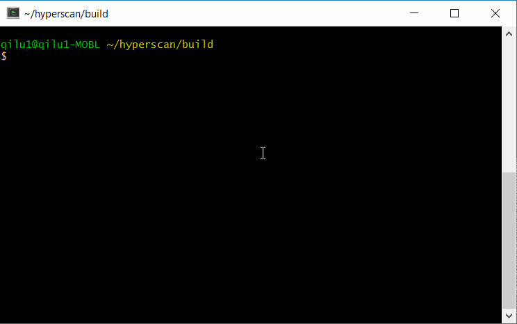 Command prompt window with command