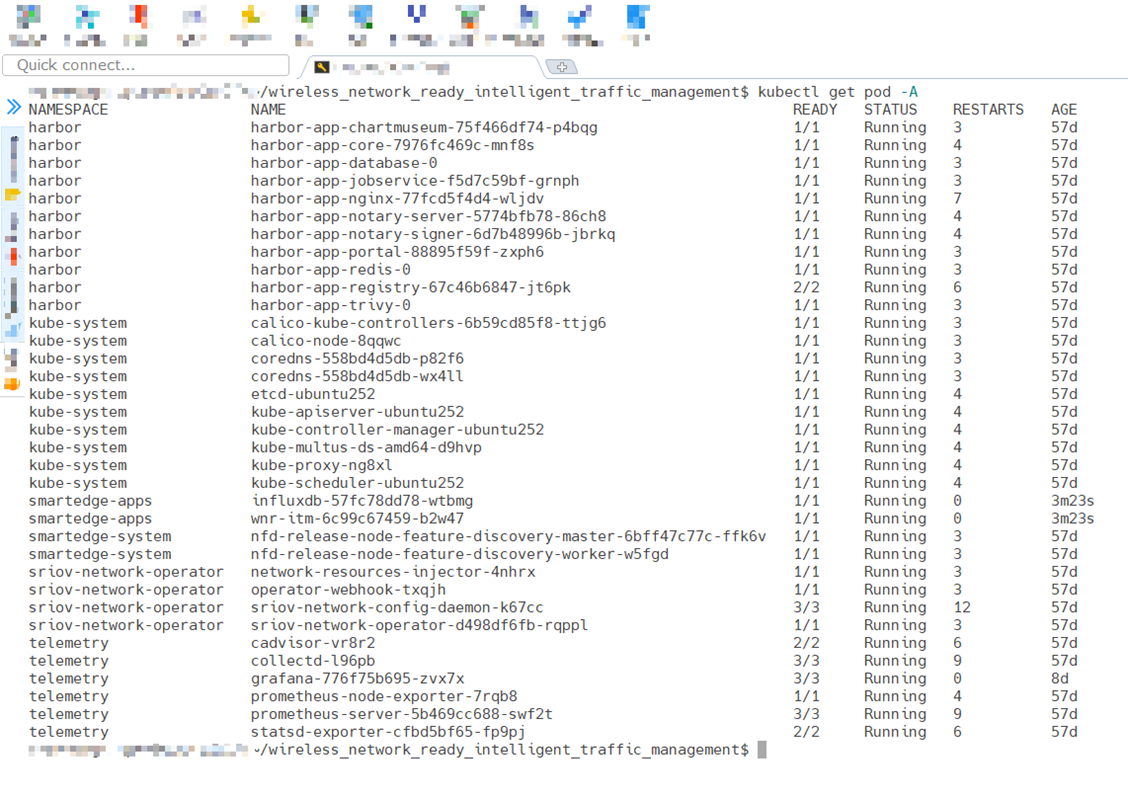 Screenshot of pod status