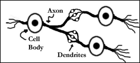 Image of Simplified Representation of a Real Neuron