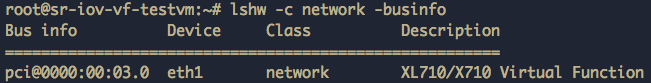 Guest Network Driver