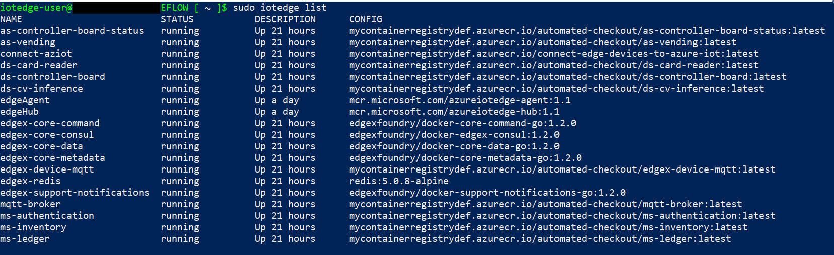 Screenshot of iotedge list output