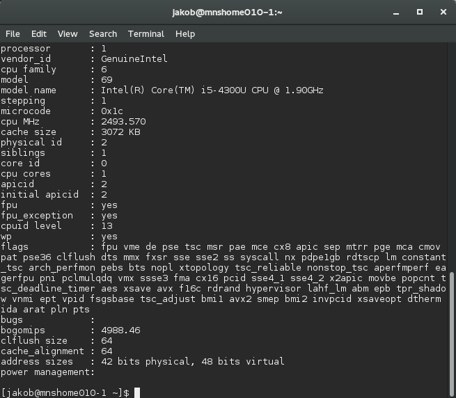 Dynamic ISA Cat Proc CPU info