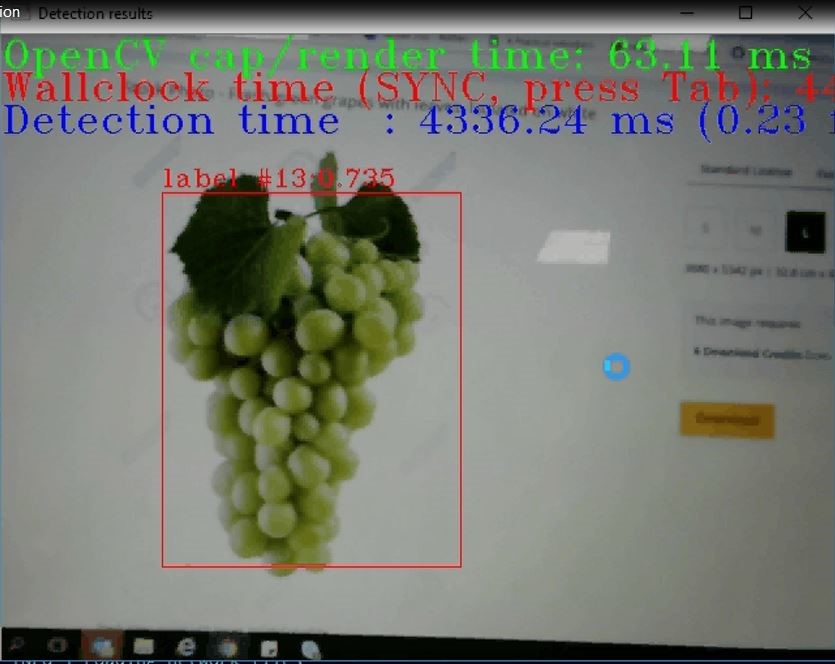 Fruit Detection Examples