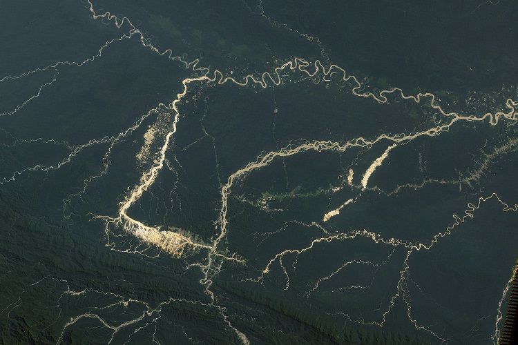 Satellite image of the Amazon basin