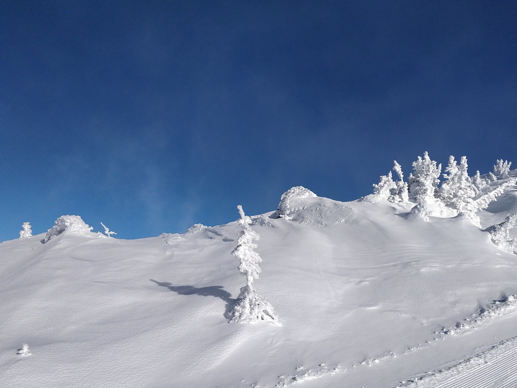 Snow Ridge 