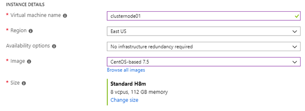 Example Azure H8m instance details