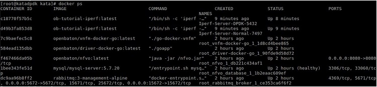 Docker C L I shows that  N S R is deployed