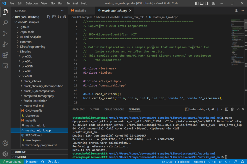 Figure 4. Building and running the example code