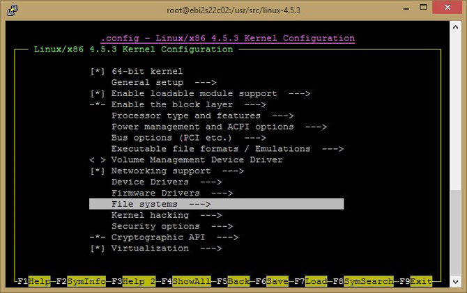 Setup the file system for Direct Access support.