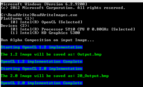 Read Write Image Sample Program running on OCL2.0 Device