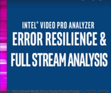 VPA Error Resilience Video