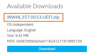 ownload the UEFI Flash BIOS Update 
