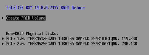 Select Create RAID Volume