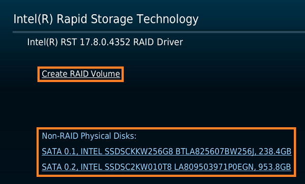 Select Create RAID Volume.