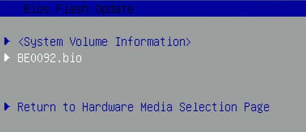 BIOS Flash Update