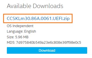 Download the UEFI Flash BIOS Update file