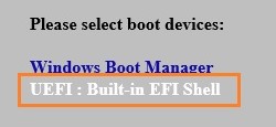 Select UEFI: Built-in EFI Shell