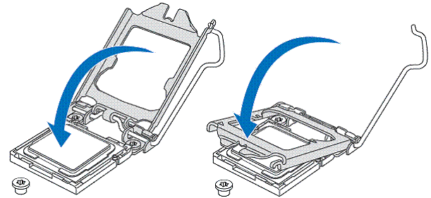 lower the load plate