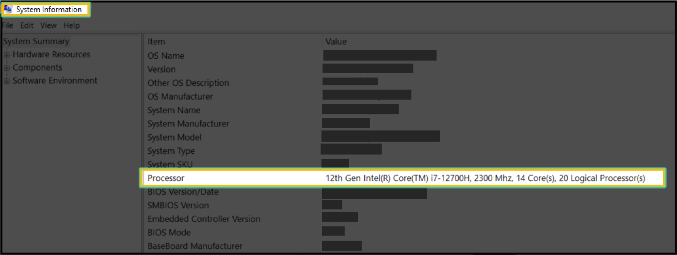 System Information