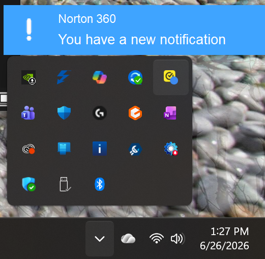 Example Image