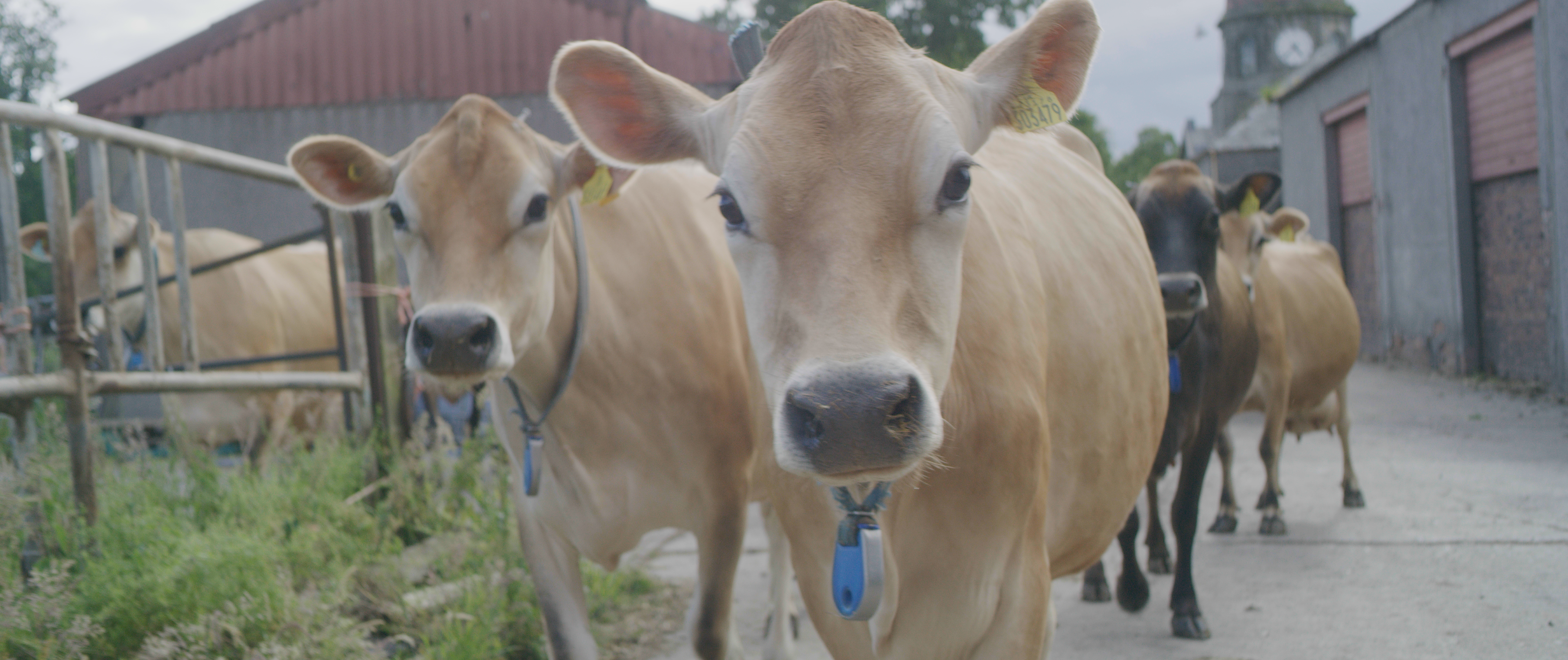 Graham’s Streamlines Farm Operations