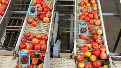 A close-up view of an active apple-sorting machine being monitored by a computer vision solution. Blue boxes with the word “rotten” appear over three apples.