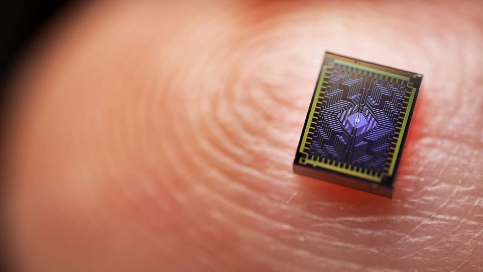 英特尔发布首款硅自旋量子芯片Tunnel Falls：基于12吋CMOS工艺，良率达95%！