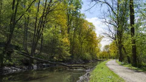 Gravel bike path in a forest next to a stream