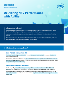 NFV Performance with Agility for CoSPs