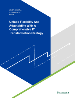 IT Transformation Strategy for Adaptability
