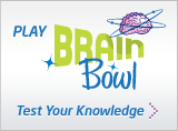 Play Brain Bowl 2008